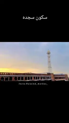 فلسفی یہ بات نہیں بتائیں گے #raiwindtableegimarkaz #trending #foryou #tiktokteamofficial #duet 