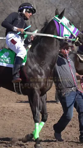 La Negra Noche Cuadra 33 Racing🔥🏇🏿 #AmbicionCarrerera 