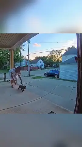 funny dog fails #funnydog #dogfail #pet #dog #fyp 