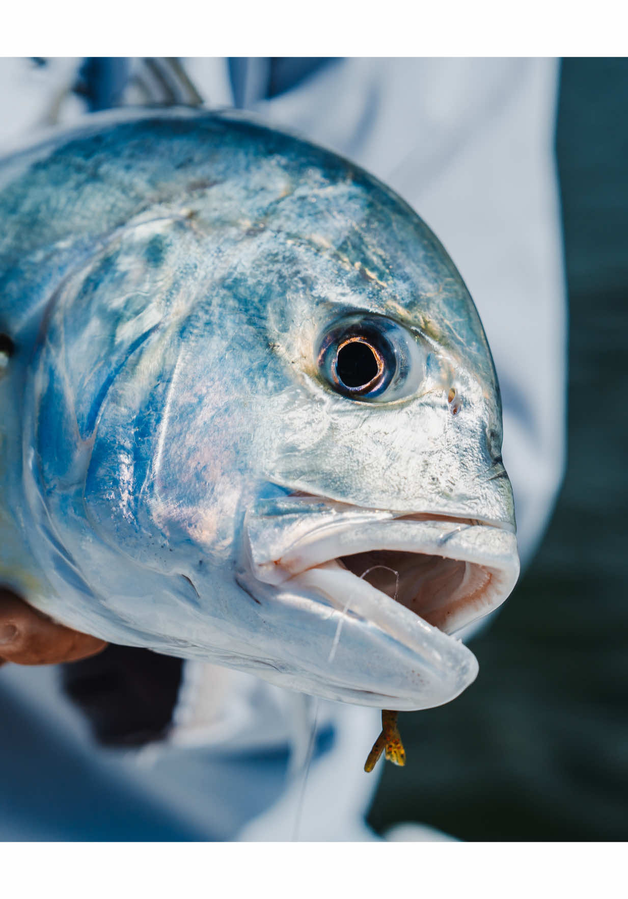 Goldcoast GT Light Tackle #gtfishing #goldcoastfishing 