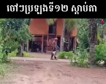 ស្តាប់តាចៅៗ...#pufred🍇 