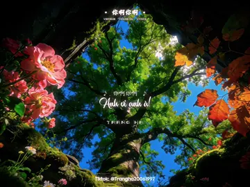 ♪ 你啊你啊 | ★ Bài hát: Anh ơi Anh à • Nguỵ Như Huyên 魏如萱 waa wei (Tik Tok/抖音) | (Vietsub/Lyrics) _