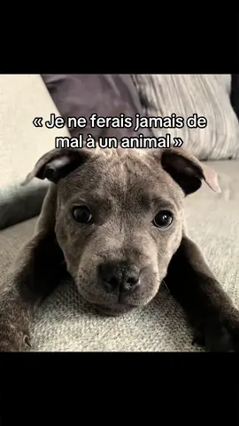 Regarde la vidéo de 3 min dans ma bio pour voir la vérité