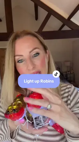 Led robin decorations #ledlights #christmasdecorations #robins #cosyseason #festivelights 