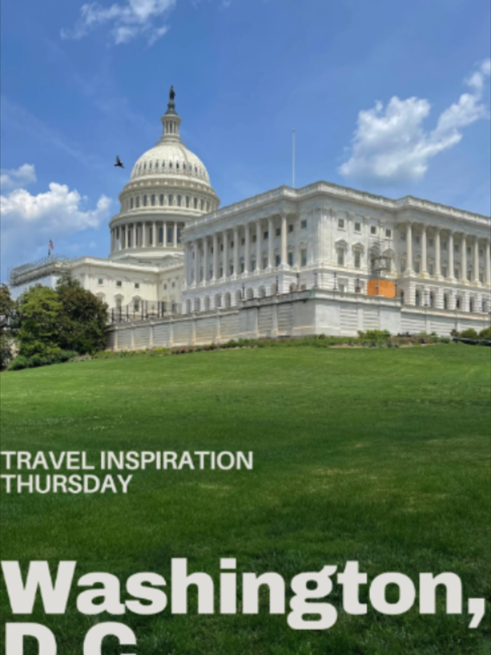 Washington D.C. is a unique and vibrant city, full of historical significance, political importance and cultural diversity.  Also, the closest large city to where I live! Although the weather is still very hot, I find visiting D.C. (especially the museums) in mid-late August is a great time to go.  Summer camps have finished, a lot of kids have started school and field trips aren’t in full swing yet.  So if you can manage the heat, I find this is a less crowded time to visit overall. Some Highlights: Favorite Memorials - Jefferson Memorial and Lincoln Memorial Favorite Smithsonian Museum - Natural History Museum and National Portrait Gallery Favorite Non-Smithsonian Museum - International Spy Museum and Planet Word Hidden Gem of D.C. - Hillwood Estate, Museum and Gardens Favorite Eats - Zaytinya, Rose’s Luxury, Sushi Taro, Purple Patch Favorite Hotels - Hamilton Hotel, Embassy Suites Downtown, The Mayflower If you are looking for a more in depth guide with ALL the go-to spots - snag a copy of my Washington D.C. City Guide on the website.  Subscribe to my newsletter so you don’t miss future Quick Guides and other travel inspiration. #travel #familytravel