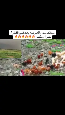 ##اكسبلورررررررررررررررررررررررر❤##هذا المنشور من تراث منطقتنا الحبيييه جازان ياليت يعجبكم متابعيني شدو اضافه لايك شير اعاده نشر نبغى القمه ##اكسبلورررررررررررررررررررررررر❤ ##🌹🌹❤️❤️❤️❤️ 