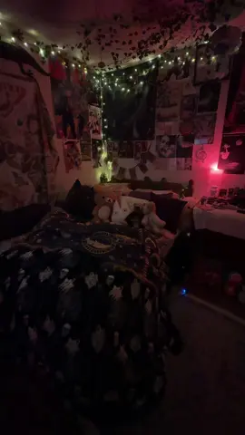 My lair 🧛🏻‍♀️                    