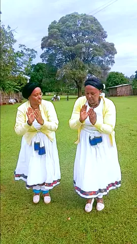 #አቦጉራጌነትይለምልም💚💚💚💪💪💪💪💃💃 #ጉራጌ_ኩሩ_ነው_ሀገሩን_አይጠላም #ጉራጌዎነኝ🇪🇹🇪🇹💚💛❤ #የጉራጌ #guraghe 