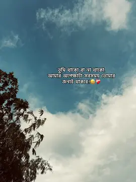 তুমি থাকো বা না থাকো আমার অপেক্ষা সবসময় তোমার জন্যই থাকবে #foryou #fyp #foryoupage #viralvideo @TikTok Bangladesh 
