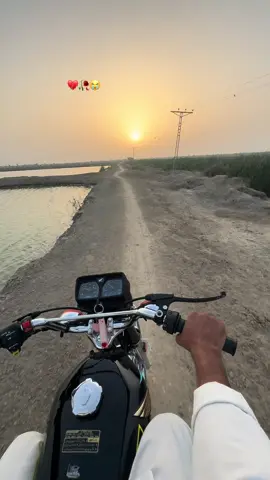 #سنگت_ویڈیو_وائرل_کریسو_آپ_ہیں🥀🌼🙈✨🎇 #honda #foryou #fyp #سرائیکی 