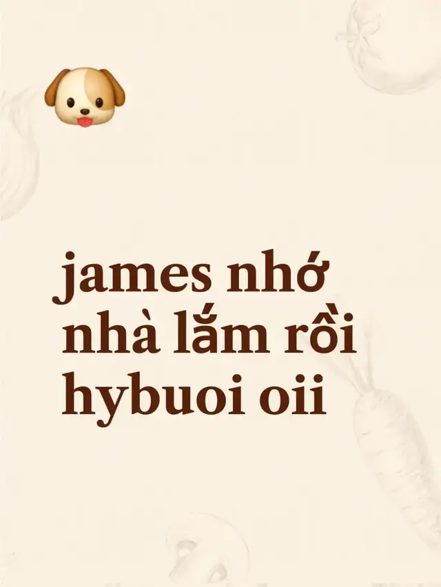 james nhớ nhà lắm rồi hybuoi oii #james #코르티스 #xh 