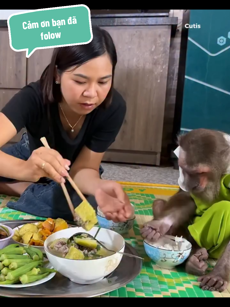 #xuhuongtiktok #viral  Cutis cơm mẹ nấu ngon ..!
