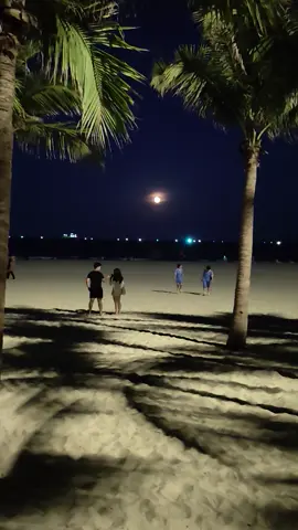 MykheBeach ĐaNang 🏝️🏖️🇻🇳♥️  #dulichdanang  #xuhuong  #danangcity  #xaykenhtiktok  #tapxaykenh 