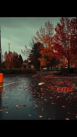 #autumn #🍂 