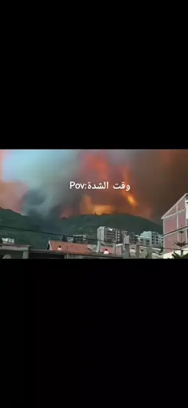 النار ولا العار اوليدي 🔥 #حرائق_جيجل_بجاية_تيزي_وزو #النار #الجزائر #foryoupage #الجزائر🇩🇿 