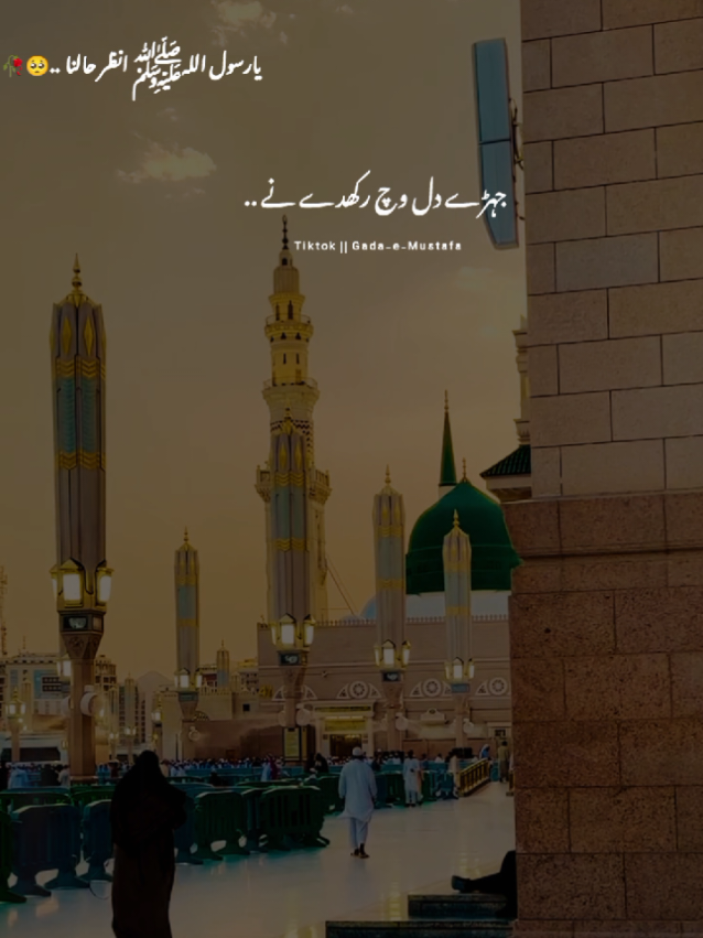 #ViralNaat #NaatSharif #آقا #میرے_سرکار #نعت_رسول 