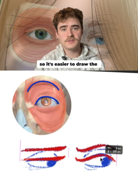 A trick to simplifying eye expressions! Check out this tip from earlier this year about the expressiveness of eyes and eyebrows! Want to learn more? Wouter Tulp has a new course coming out on September 8th all about facial expressions! Click the link in our bio to join the waitlist for 