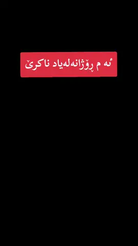 #یەکیتی_نیشتیمانی_کودستان #کەرکوک_هەولێر_سلێمانی_کۆیە_دهۆک #بافل_طلباني #کۆماندۆی_کوردستان #کۆماندۆ 