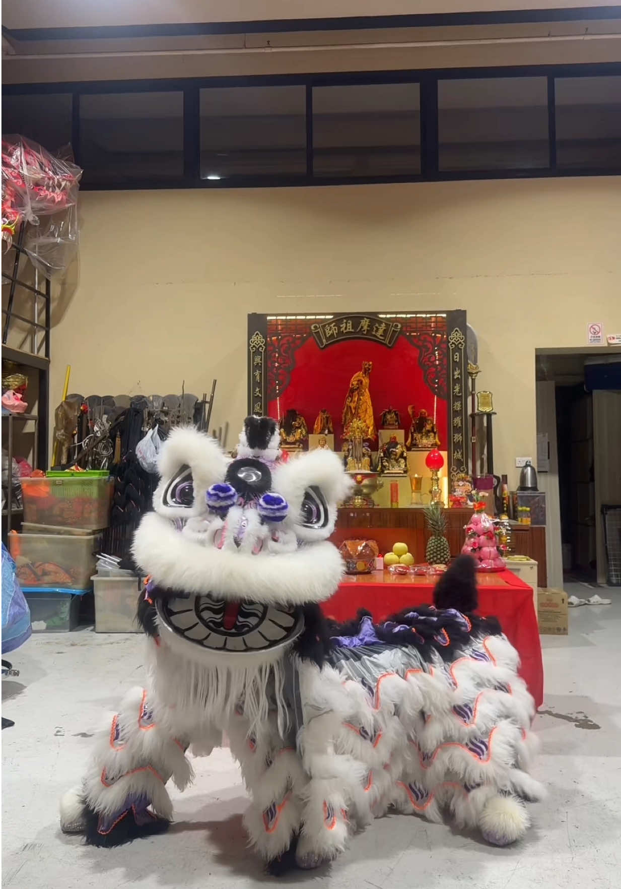 today i will turn in to a cute little 🦁✨🎀!  #liondancesg #rihingsg #fyp #barongsai #trending 
