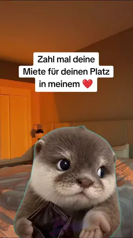 🫰🏻#couple #viral #fürdich #fy #Meme 