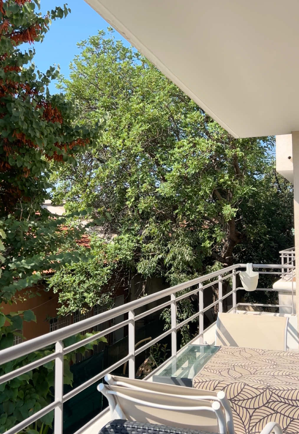 ✨ Le confort du neuf Dans le quartier calme de Valbertrand à Toulon, découvrez ce T3 dans une résidence récente de 2023, pensé pour une vie moderne et sereine. ☀️ Terrasse plein Sud 🌿 Séjour avec cuisine ouverte 🛏️ 2 chambres 🚗 Garage ❄️ Climatisation réversible Un appartement clé en main, où il ne reste plus qu’à poser ses valises. 💰 274 000 € 📞 Théo NOBILI : 07 60 07 56 47 _________________________ ACOR'IMMO 🏠 Agence Immobilière La Seyne, Toulon, Sanary, Six-Fours 🔑 Pour tous vos projets immobiliers #toulon #immobilier #appartementavendre #achatimmobilier #neuf 