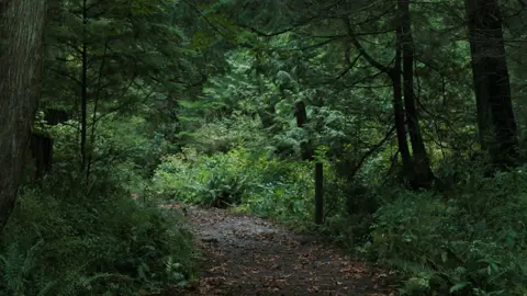 “The last few seconds change everything… 👀” The Last of Us Season 2 #TheLastOfUs #TheLastOfUsSeason2 #MovieClips #SeriesClips #TVSeries #CinematicScenes #EpicScene #FilmTok #SceneEdit #MovieTok #HBO #ViralClips #FYP #ForYou #Trending 