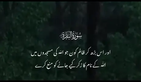 #Allah #alquran #foryou #Quran #tiktok #islamic#islamic_video #fyp #islamic #forypupage