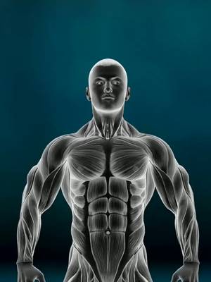 Swipe left to learn more about F1tness apps #app #fitness #workout #eng