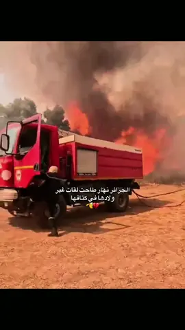 نسأل الله خير مافي حريق جيجل و بلادنا العزيزة الجزائر 🙏🏻💔#algeria #fyp #جيجل #viral #explore 