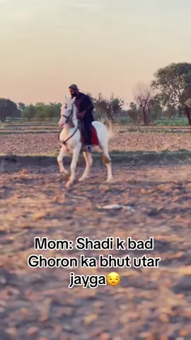 🫀💯 Sultan Padhyar Jutt 