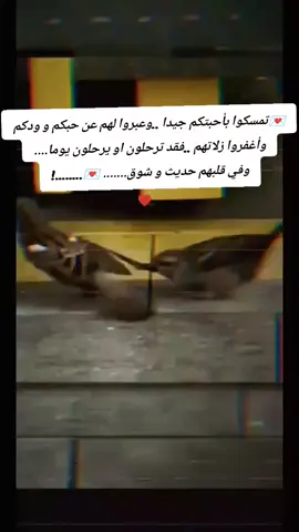 #دمتم_بالخير_والسعاده_اينما_كنتم #اكسبلور #اكسبلور #اكسبلور #اكسبلور 