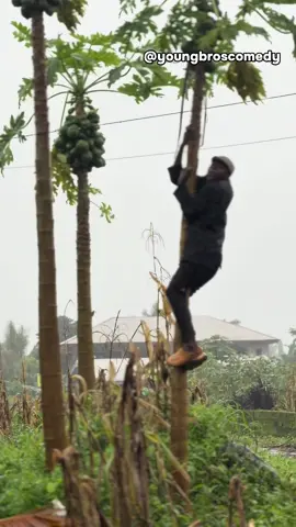 This man youngbros 🤣🤣🤣 #ohbuea  #nybnv 