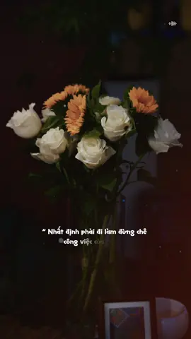 “ Nhất định phải đi làm đừng chê  công việc của mình… #tramnhachay_0203  #bkmuzic #kirozmedia 