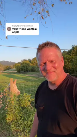 Replying to @Elroy #gearman_93 #Home #farmlife #donkey 