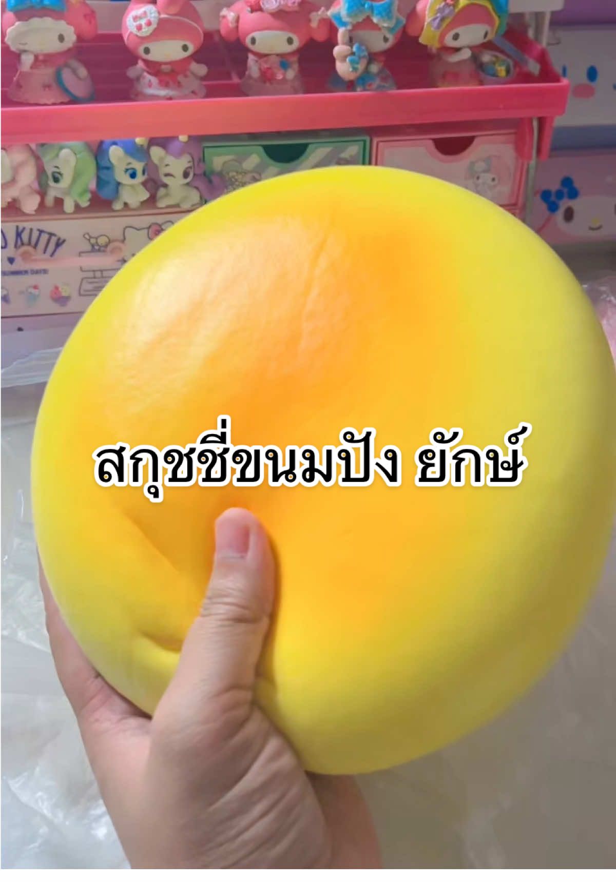 โครนฟิน #สกุชชี่ #สกุชชี่น่ารัก 
