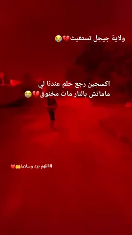 #الهم_بردا_وسلاما_على_الجزائر🇩🇿🥀❤  #jijel #jijel_____algér⚡❤ #algeria #برطاجيو_الفيديو_خاوتي 