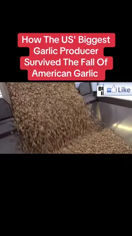 How The US' Biggest Garlic Producer Survived The Fall Of American Garlic.#italy #spain #africa #china #viral 