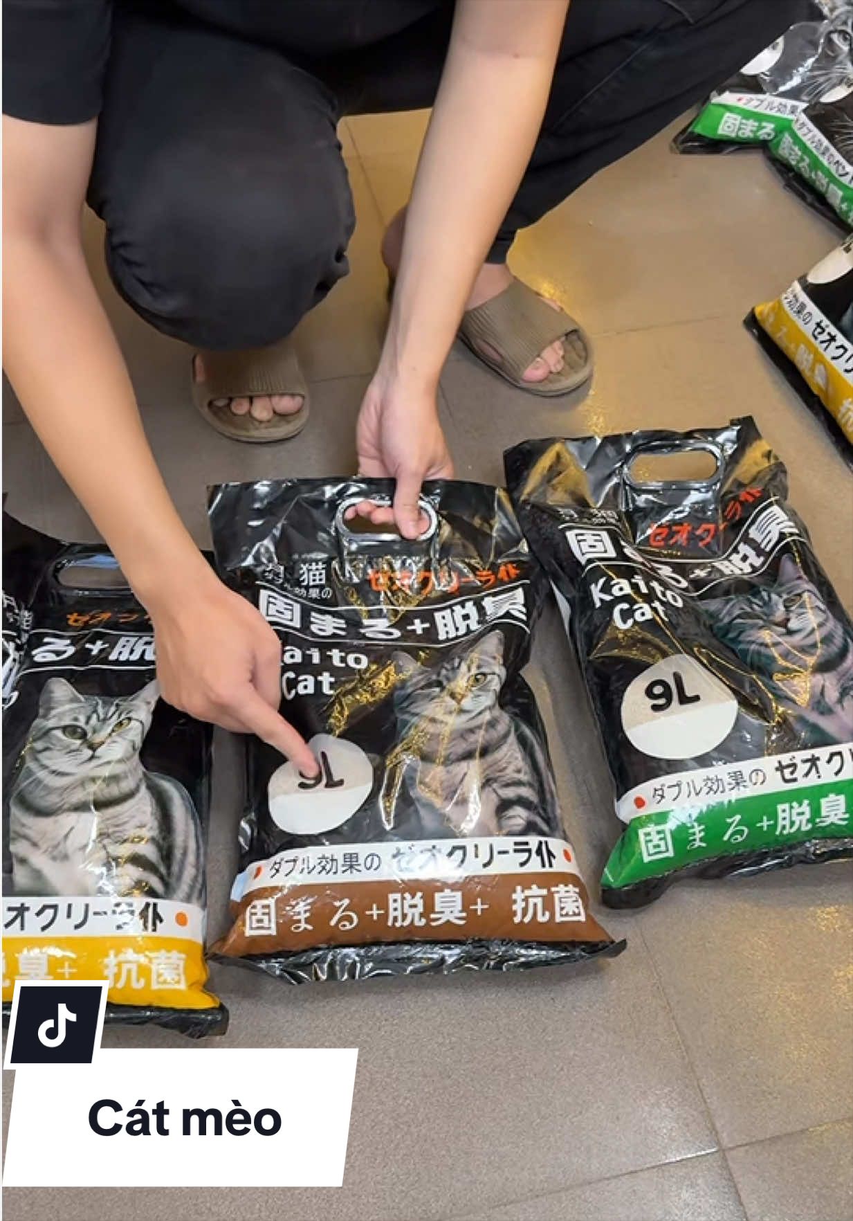 Cát vệ sinh cho mèo. #catvesinhchomeo #catvesinhmeo #catvesinh #catvesinhchomeokhumui #catmeo 