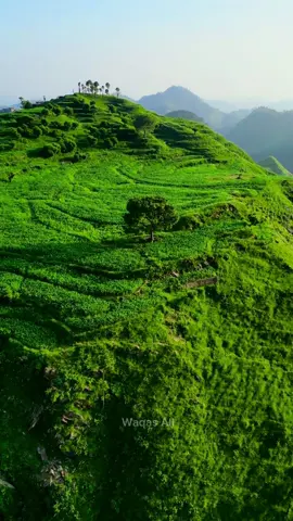 “صوابی “میں یقین کے ساتھ کہہ سکتا ہوں ایسانظارہ آپ نے نہیں دیکھا ہوگا  #naturalbeauty #newtrendinglocation #explorepakistan#hiddengems 
