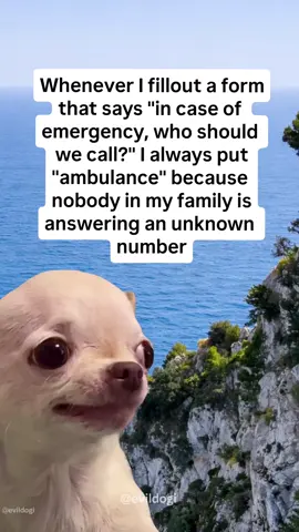😂 Daily Evil & Hilarious Memes 🐶 Official EVILDOGI Page 🛍️ Merch: evildog-shop.fourthwall.com 🧸 Plush: evildogofficial.com Link in my BIO!