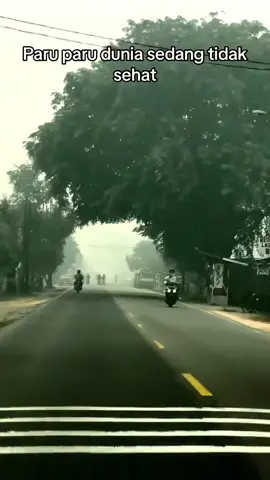 Kondisi kabut asap pontianak dan sekitarnya #karhutla #asap #sesaknafas #racun 