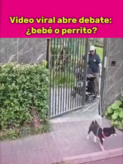La reacción de esta mujer al ver a su perro en peligro dividió a las redes: por salvar a su can, el carrito donde estaba su bebé terminó en el piso  #ReacciónImpactante #PerrosYFamilia #Valentía #Animales #SeguridadInfantil #HistoriasDeVida #Perros #MaternidadYMascotas #RedesSociales #ViralEnInternet #Viral #lifestyle #famosos #celebs #celebridades #icons #entretenimiento #series #novelas #noticias #últimahora #Social
