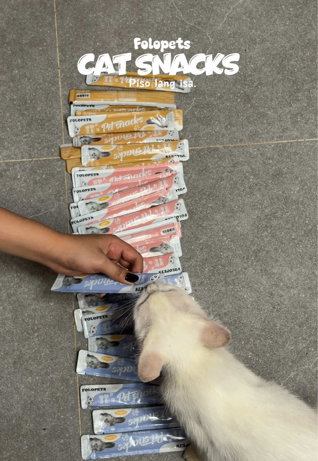 Ang mura ng cat snacks/Treats na to ng folopets.🐾 #cattreats #catwetfood #folopets 