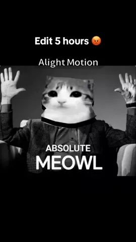 #edit #headhop#cat#catanimation #aligntmotion 5 hours
