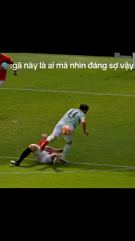 Huyền thoại người hà lan 🇳🇱 #stam