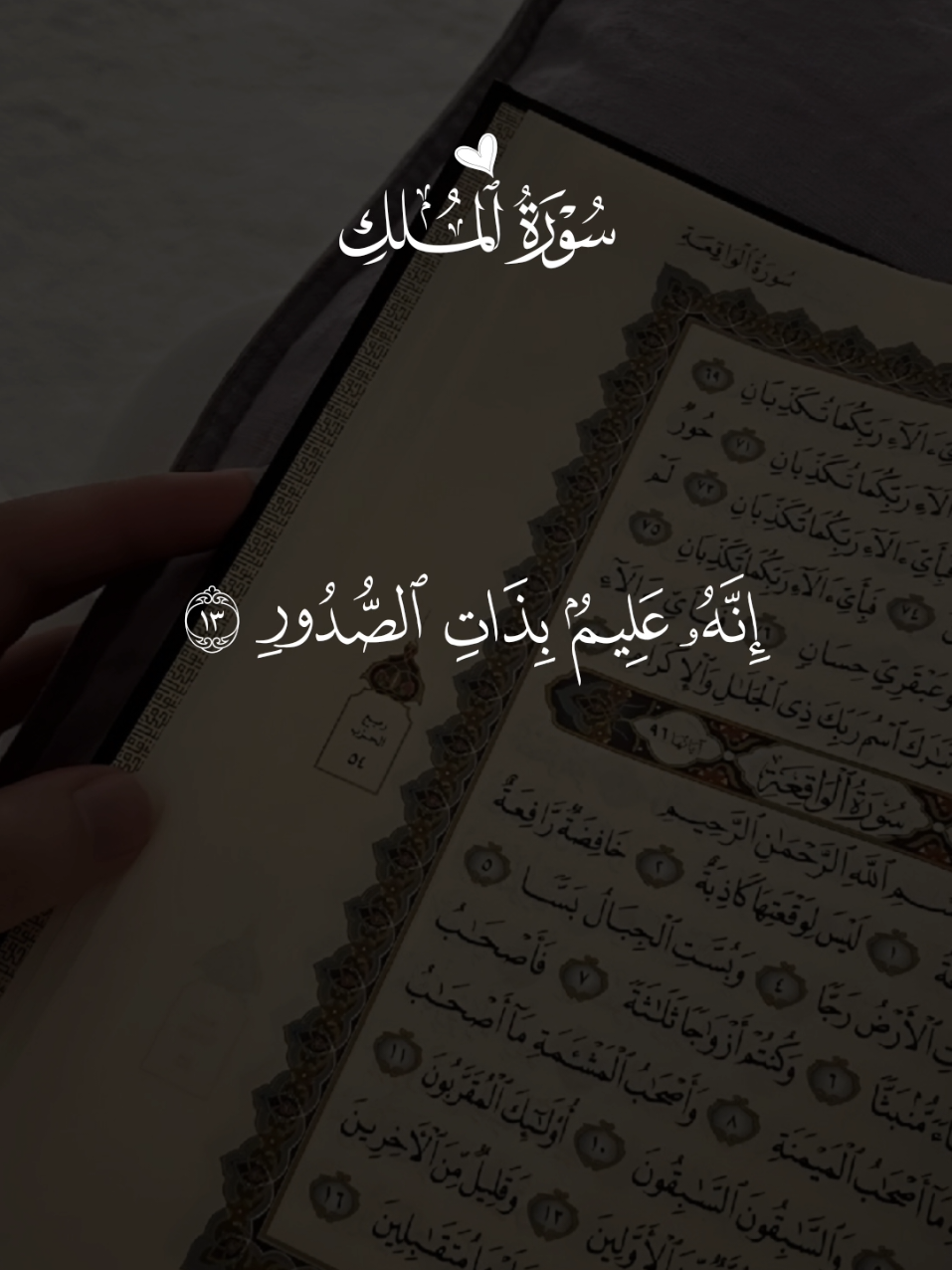 سورة الملك سعد الغامدي 🦋 #قران#سعد_الغامدي#quran#قران_كريم 