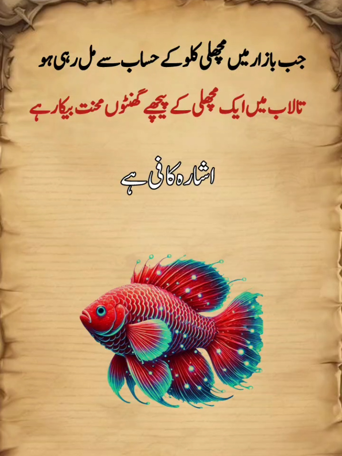 #poetry #1millionaudition #noorwrites354 #attitude #foryoupage @TikTok @TikTok Pakistan 