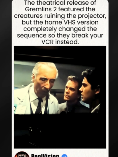 The Wildest VHS Fourth Wall Break