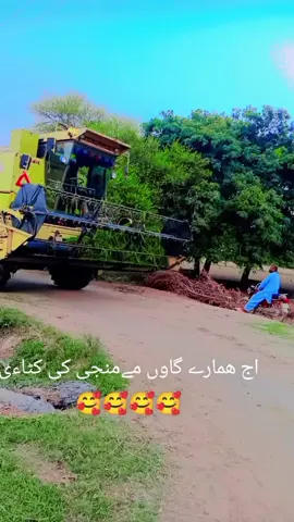 کہاں پہ کٹائی ہو رہی ہے اپ لوگ کمنٹ میں بتائیں 🥰🥰@❌ــــــِSAiF ULLaHـــــ❌ِِِ 