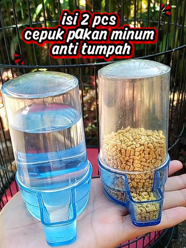 cepuk dispenser pakan minum burung anti tumpah  #cepukburung #cepukpakanburung #dispenserpakanburung #gajiansale #kicaumania 